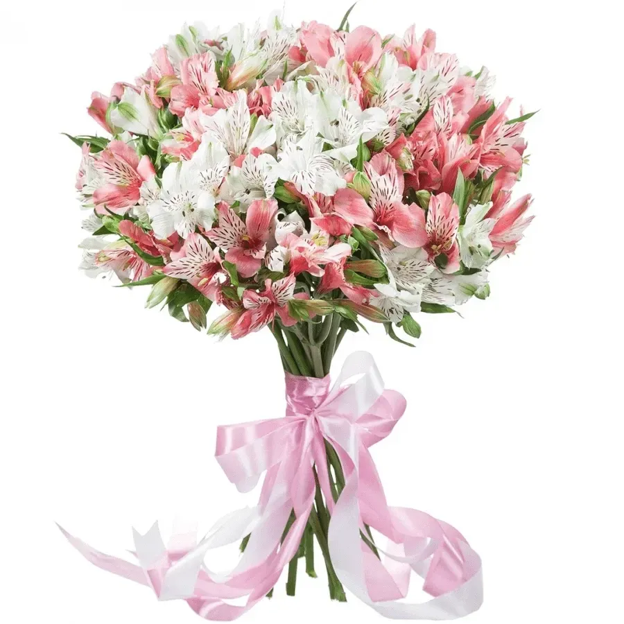 Альстромерия микс