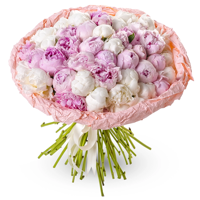 Букет из 51 пиона микс
