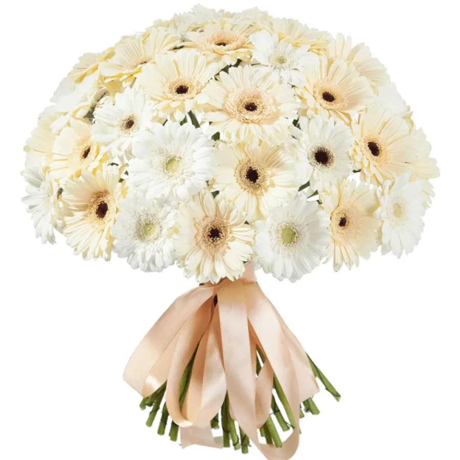 Гербера микс бело-бежевая